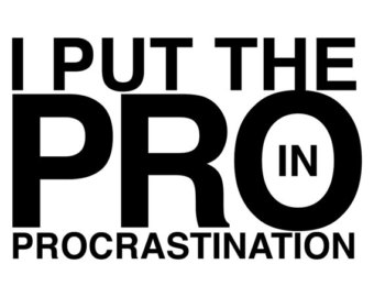 Put The Pro In Procrastination Fu Nny Shirt    