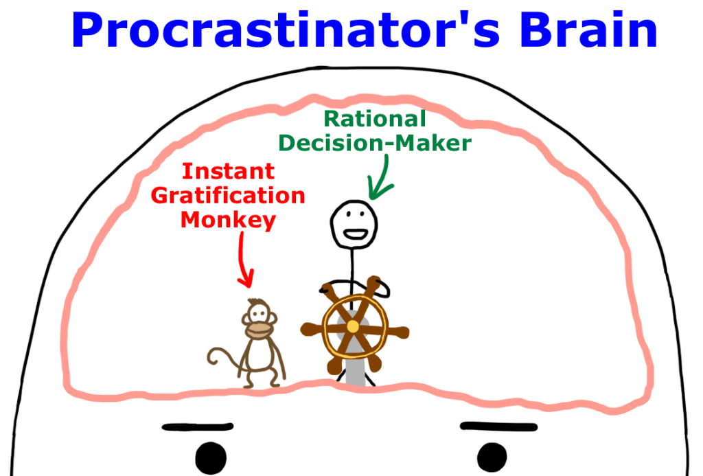 Why Procrastinators Procrastinate   Wait But Why