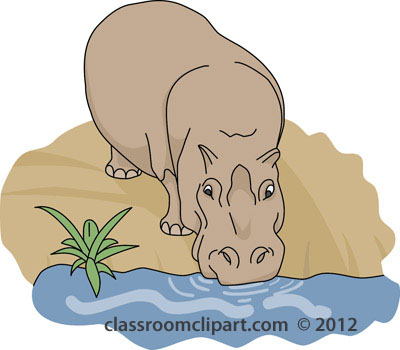 Hippo Clipart   Hippopotamus Drinking Water 212 4   Classroom Clipart