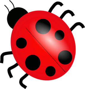 Ladybug Top View Clip Art  Png And Svg