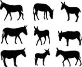 Pack Mule Clipart Mules And Donkeys