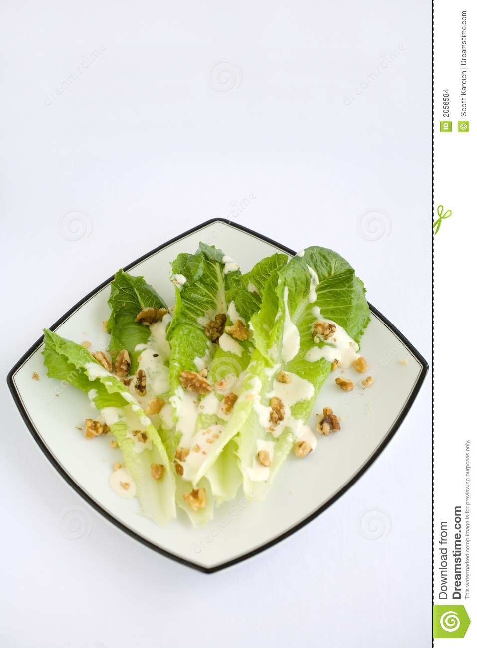 Salad Romaine Lettuce With Ranch Dressing Stock Images   Image