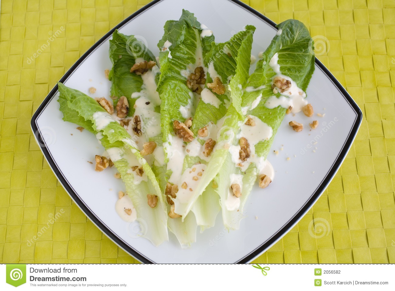 Salad Romaine Lettuce With Ranch Dressing Stock Photography   Image    