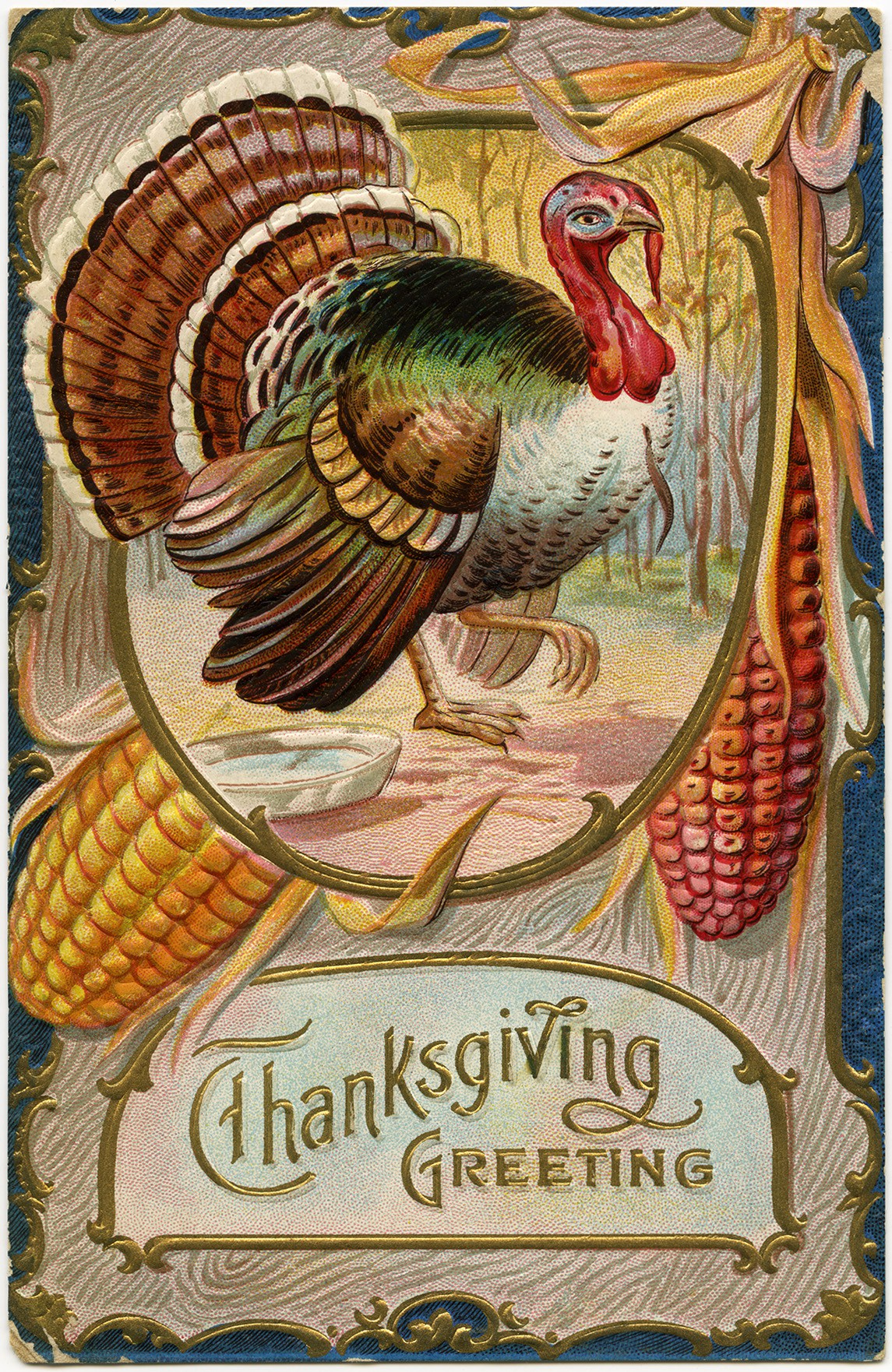Thanksgiving Postcard Antique Thanksgiving Card Vintage Turkey Clip