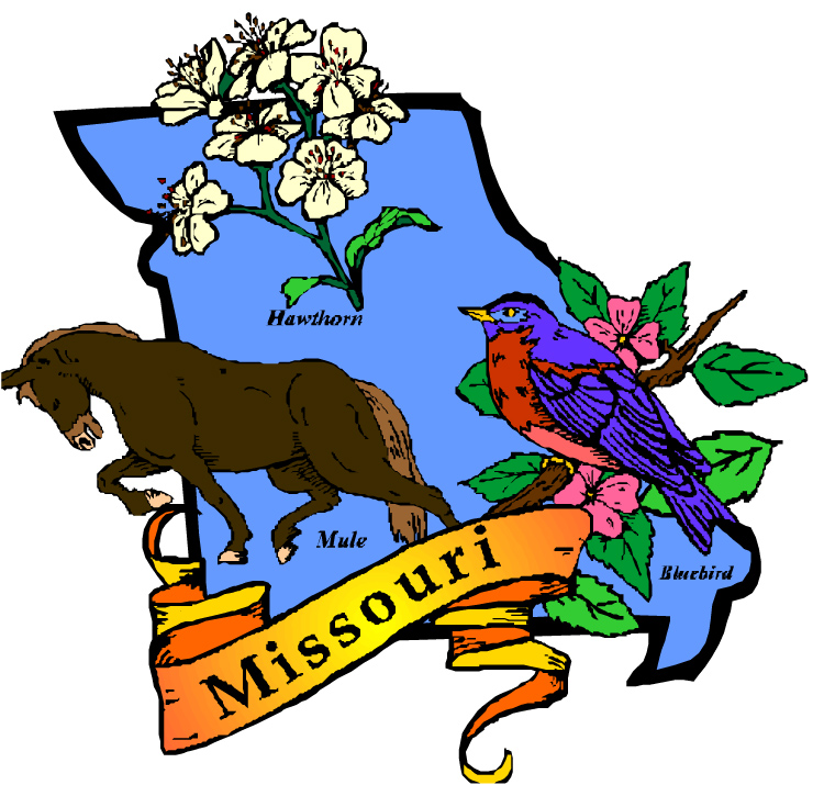     Books That Take Place In Missouri   The Cozy Mystery List Blog
