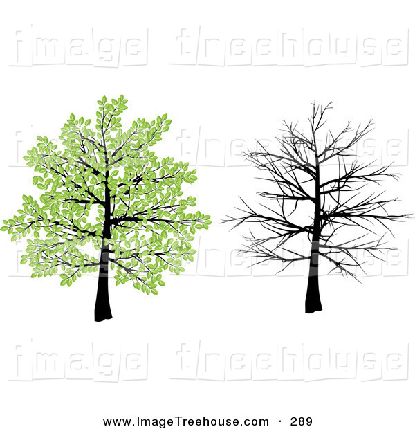 Clipart Tree With Green Spring Leaves And Bare Branches Over