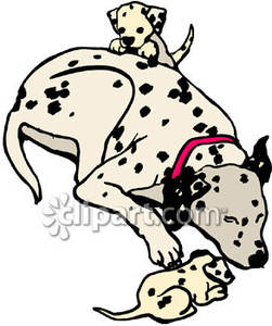 Mother Dalmation And Her 2 Puppies Playing Royalty Free Clipart
