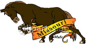 State Animal Of Missouri The Mule   Royalty Free Clipart Picture