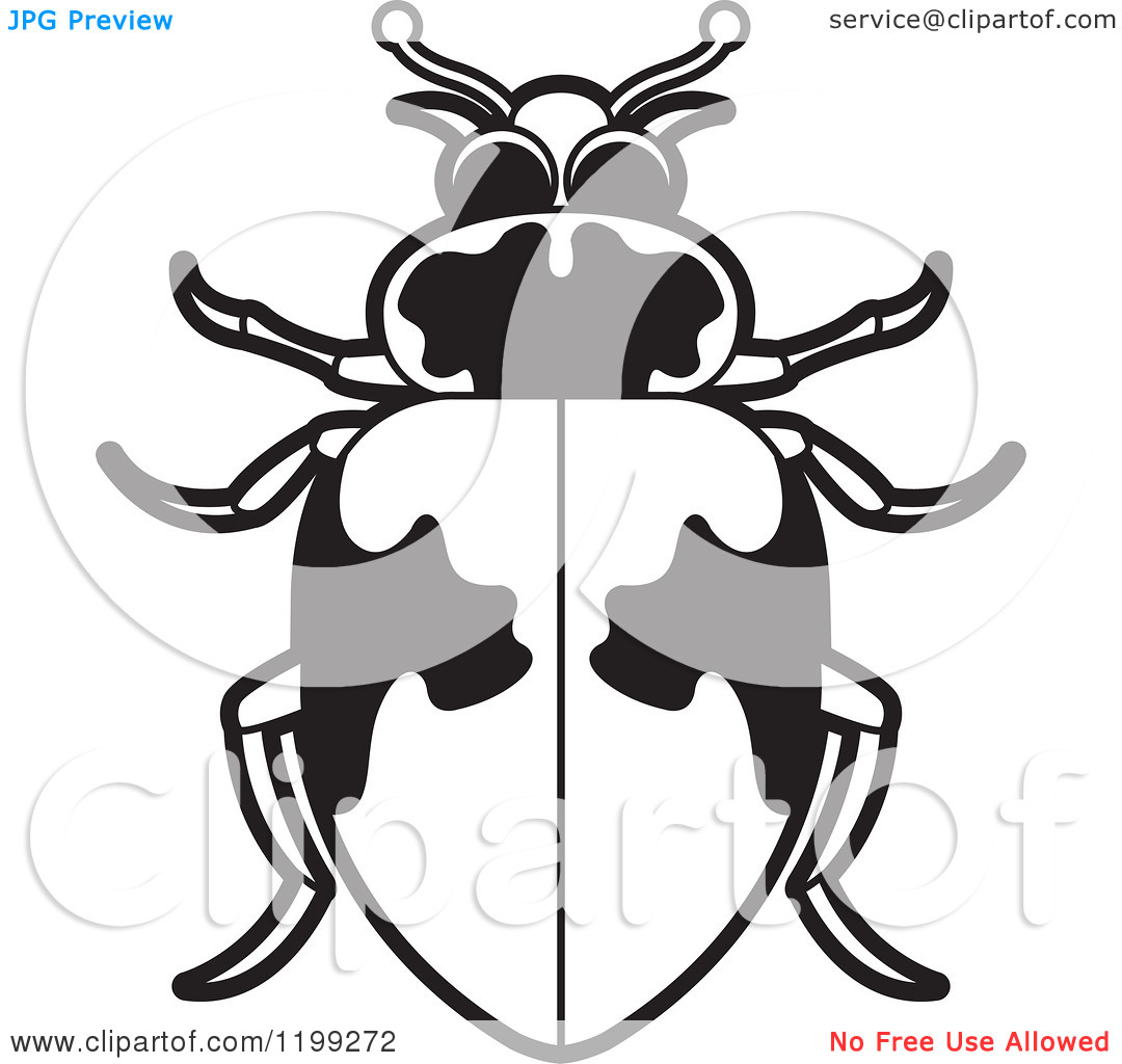 Clipart Of A Black And White Hippodamus Lady Beetle   Royalty Free
