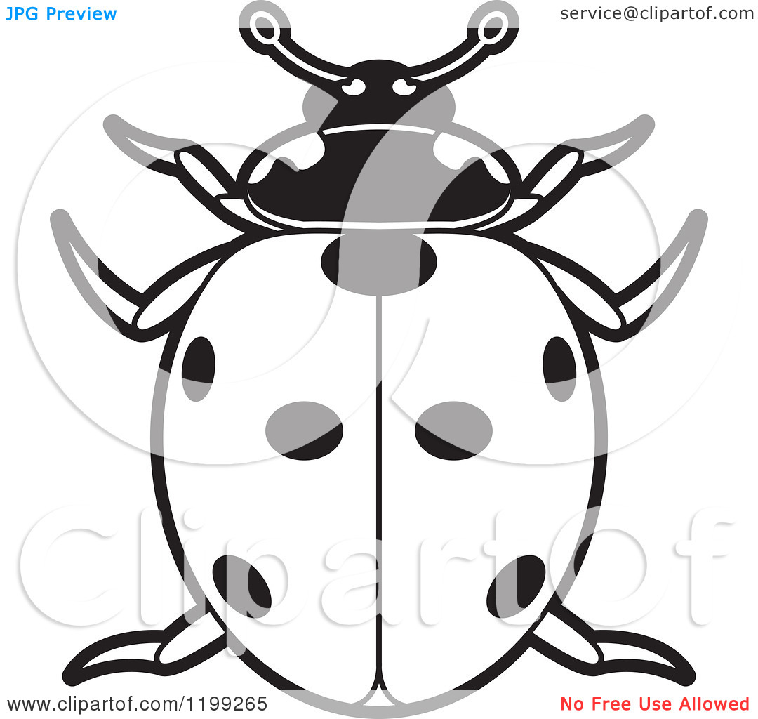Clipart Of A Black And White Spotted Lady Beetle   Royalty Free Vector