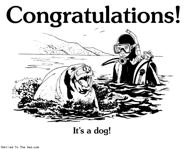 Congratulations Dog 01 13 08  Its A Dog