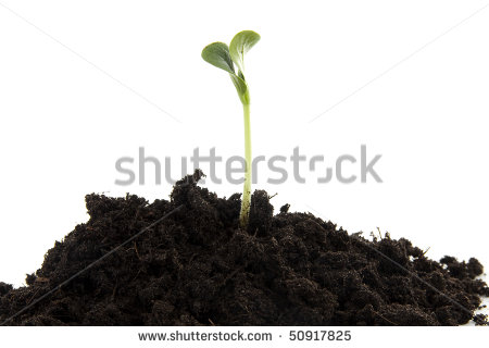 Soil Pile Clipart Pile Of Black Garden Soil With