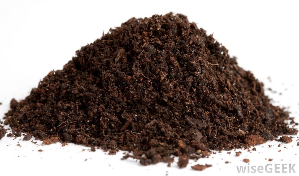 Soils That Contain 90 Percent Mineral And Around 10 Percent Organic