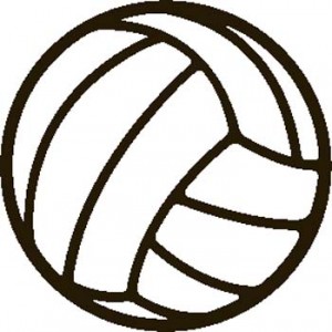 Spike It Up   The Blog About Freshman Boys  Volleyball