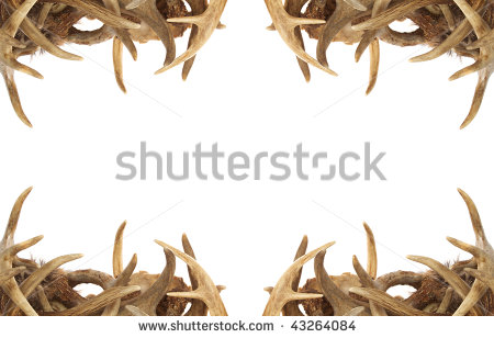 Background   Border With Whitetail Deer Antlers Dressing The Corners    