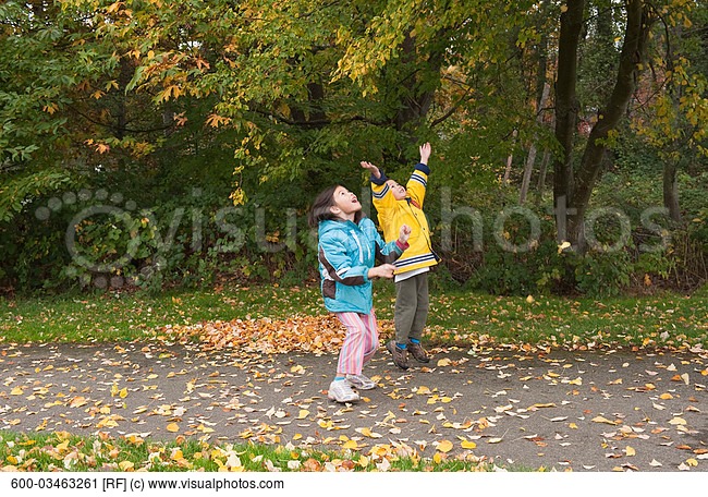 Children Playing In Fall Leaves    Stock Photos    