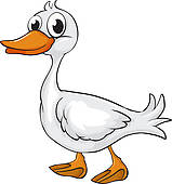 Duck   Clipart Graphic