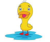 Cute Duck Standing Puddle Water Clipart