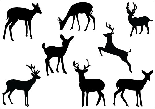 Deer Silhouette Clip Art Pack   Silhouette Clip Artsilhouette Clip Art