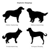 Dog Silhouette Icon Set  Sheped Dog Collection  Stock Image