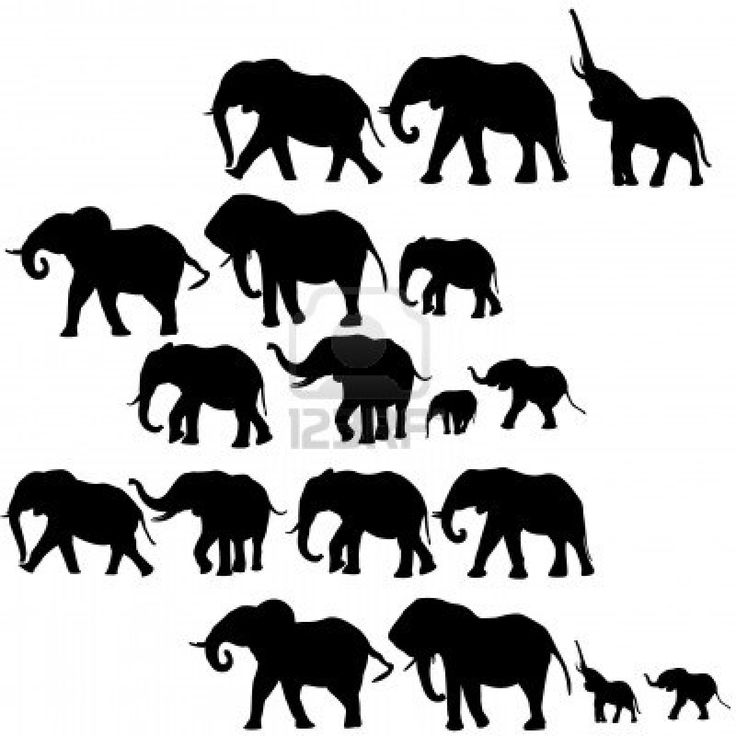 Elephants   Silhouettes   Pinterest