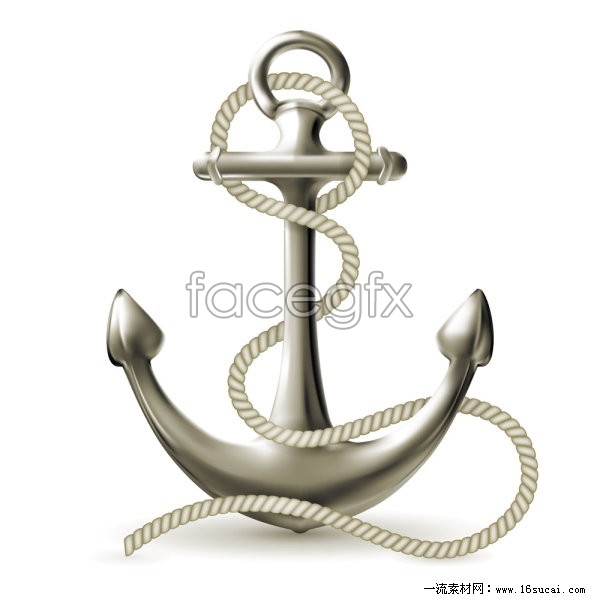 Nautical Rope Vector Pictures