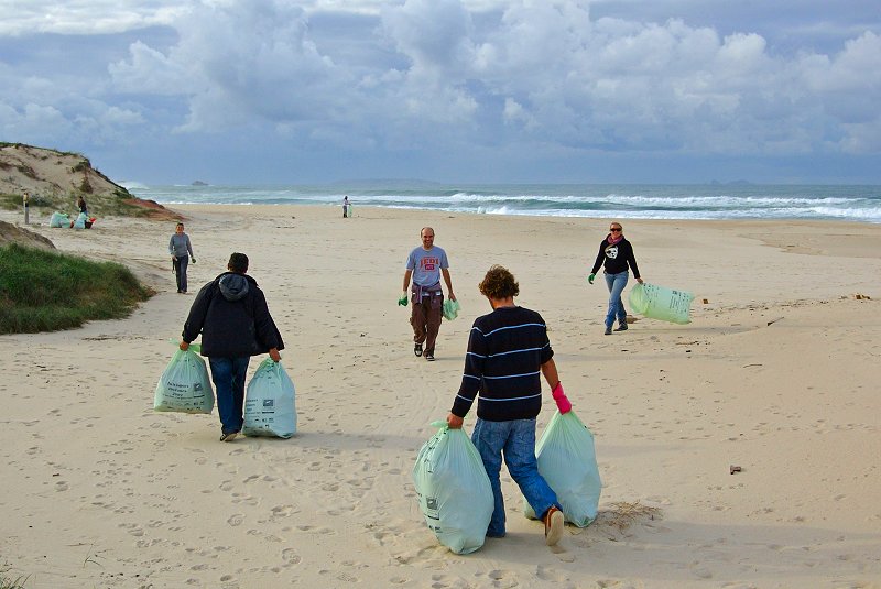 People Cleaning Beaches Beach Cleaning With Baleal