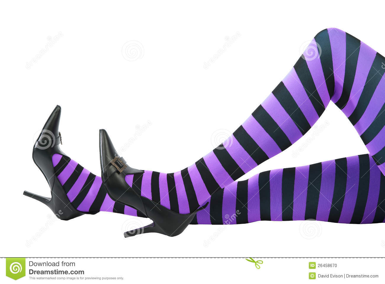 Sexy Purple And Black Striped Witch S Legs  White Background