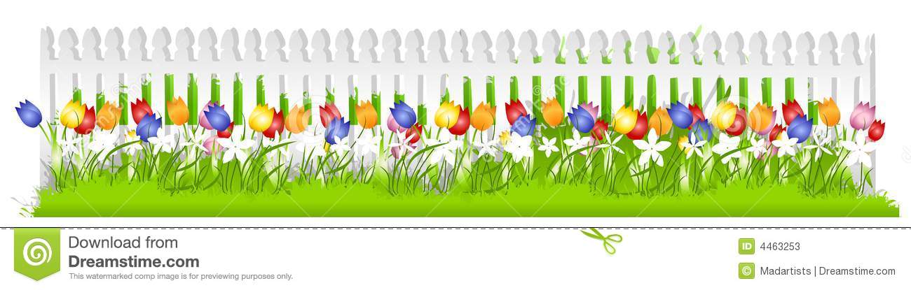 Spring Tulips In The Grass Growing Along A White Picket Fence