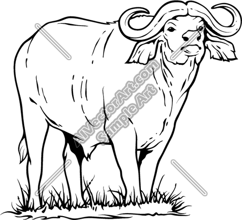 Water Buffalo Standing In Grass Clipart And Vectorart  Animals   Cows