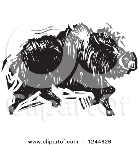 Black And White Woodcut Running Boar
