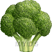 Broccoli Clipart   Free Clip Art