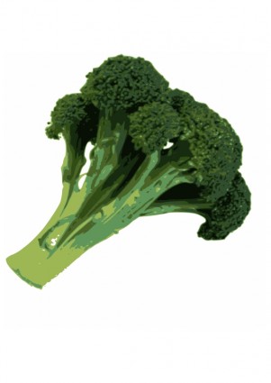 Broccoli Free Vector In Open Office Drawing Svg    Svg   Format Format