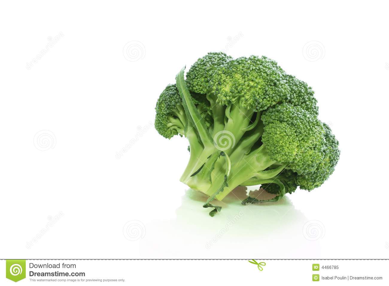 Broccoli On A White Background Mr No Pr No 2 280 1
