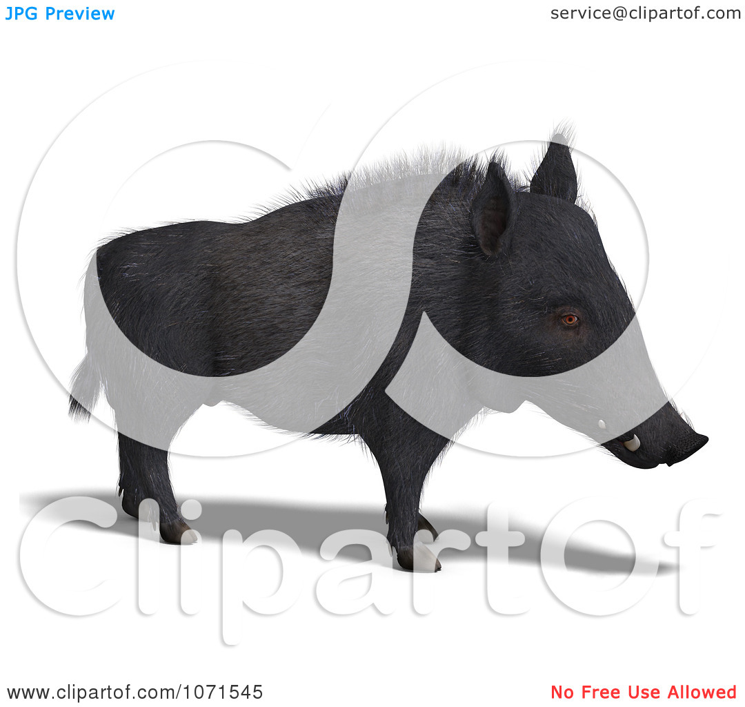 Clipart 3d Wild Black Boar Pig 3   Royalty Free Cgi Illustration By