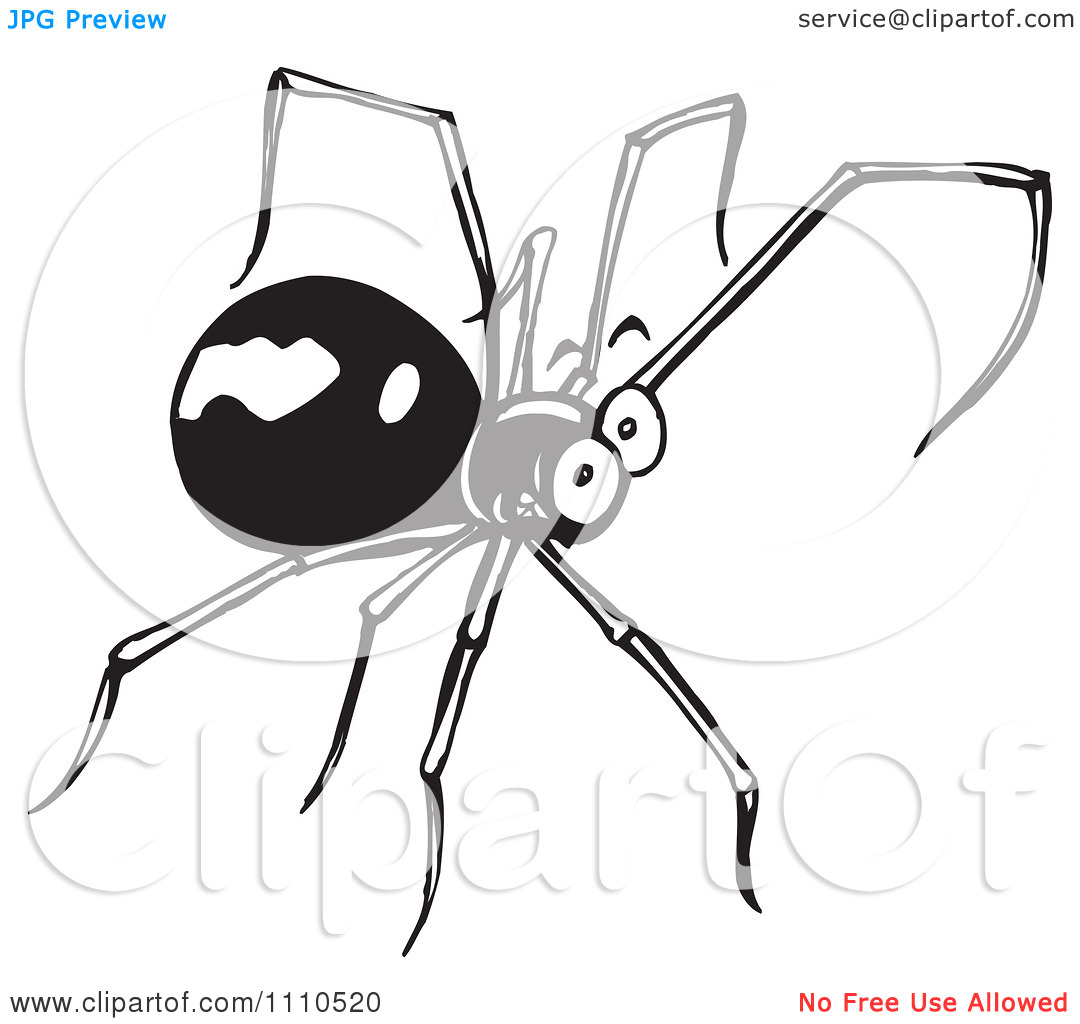 Clipart Black And White Spider   Royalty Free Vector Illustration By