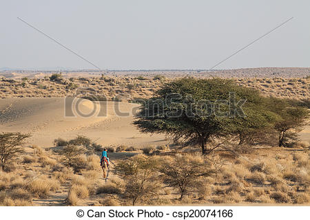 Desert  Panoramic View Of Desert With Sand Dunes Dry Shrub And Some