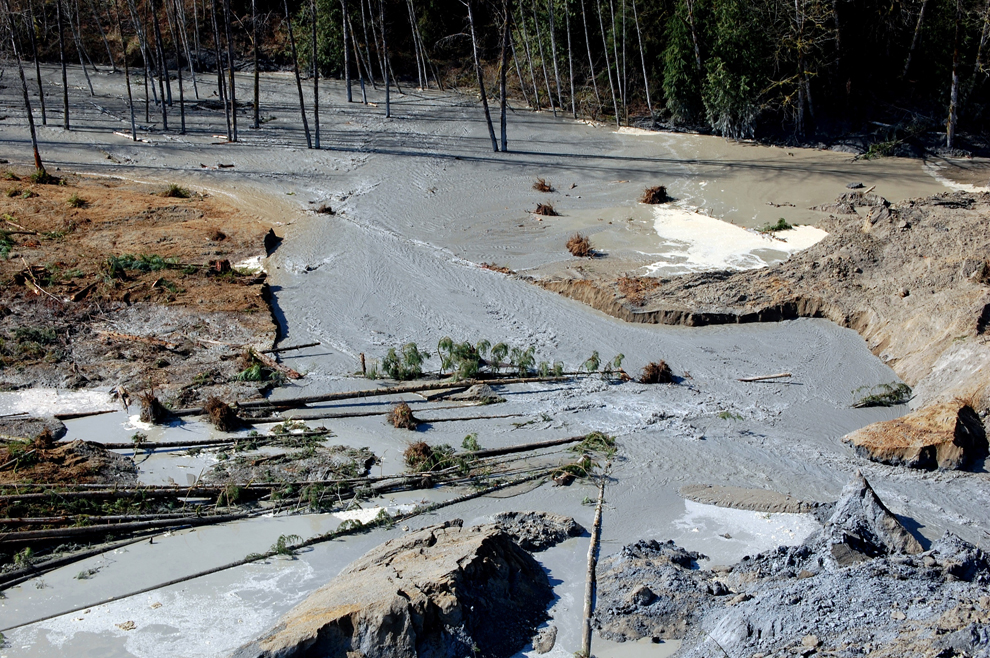 Mudslide In Washington  More Survivors Doubtful   Photos   The Big    