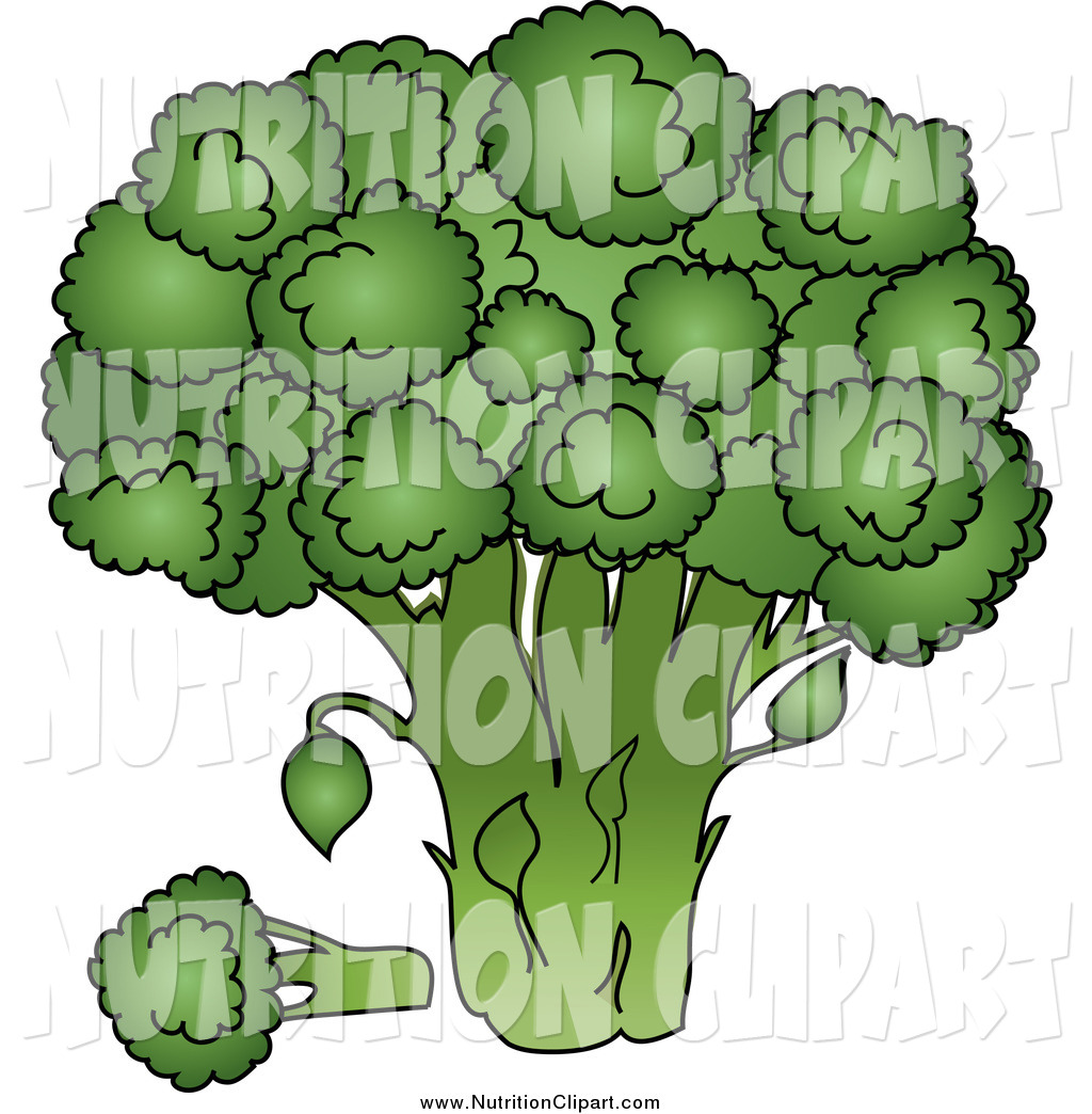 Royalty Free Nutrition Clip Art Green Broccoli This Broccoli Stock