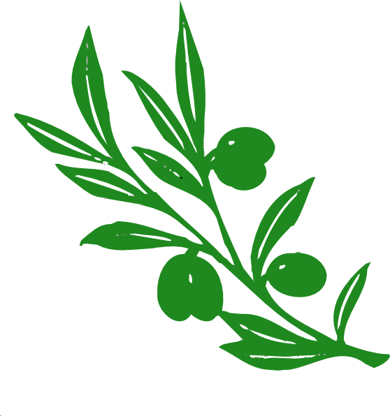 Olive Tree Branch Clip Art At Clker Com   Vector Clip Art Online