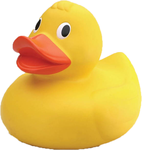 Rubber Duck Png Pictures To Pin On Pinterest