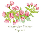 To Digital Clipart Watercolor Apple Blossom Flower Clipart On Etsy
