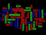 Wordle  Differentiated Instruction