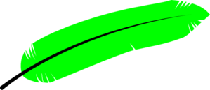 Green Feather Clip Art At Clker Com   Vector Clip Art Online Royalty    