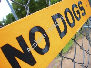 Sign That Reads No Dogs On A Chain Link Fence 0001 0601 3014 0318 Smu