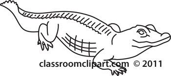 Animals   Aligator Reptile 1b 2012 Outline   Classroom Clipart