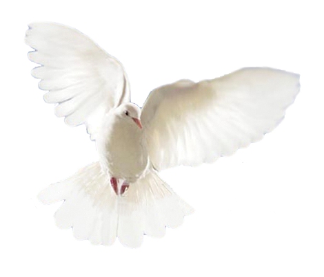 Christ Our Lord  The Dove