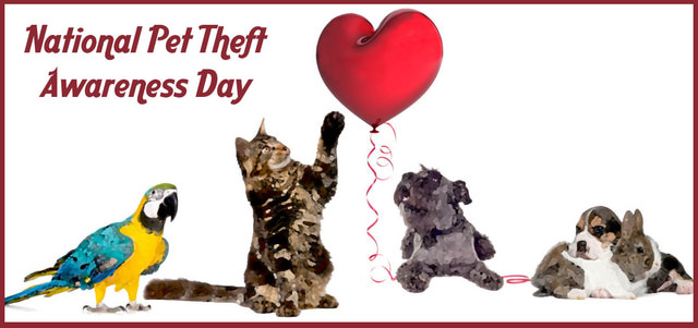 Clip Art For National Pet Theft Awareness Day     Dixie Allan