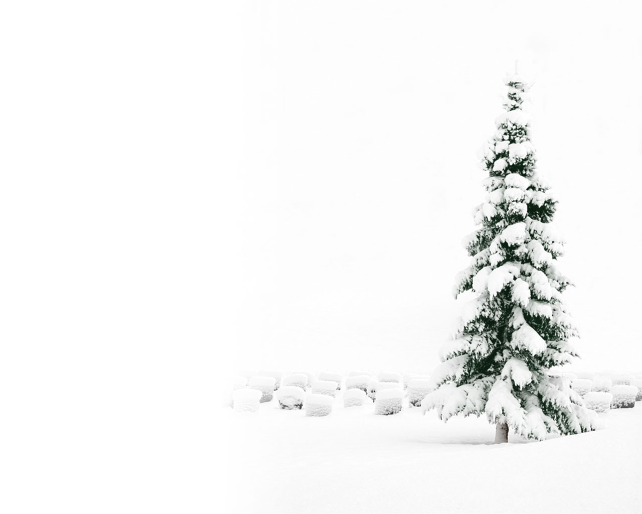 Download Christmas Trees Wallpaper  Christmas Snow Tree Wallpaper  