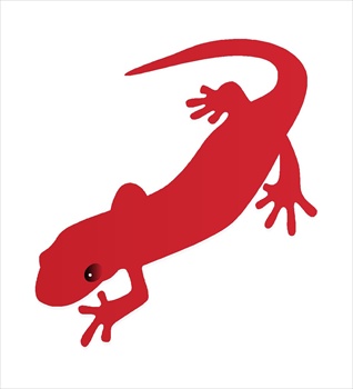 Free Fzapsalamander Clipart   Free Clipart Graphics Images And Photos